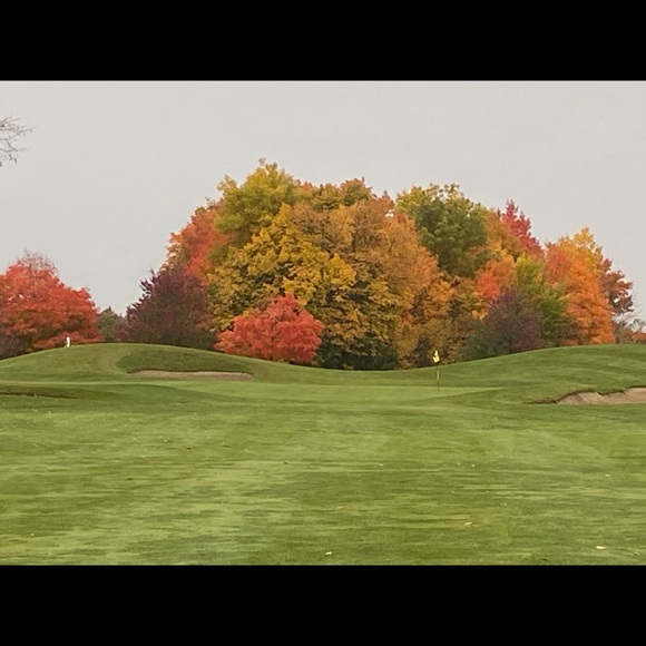 Meet your Posher, Share_the_Chic - Picture 2 of 2